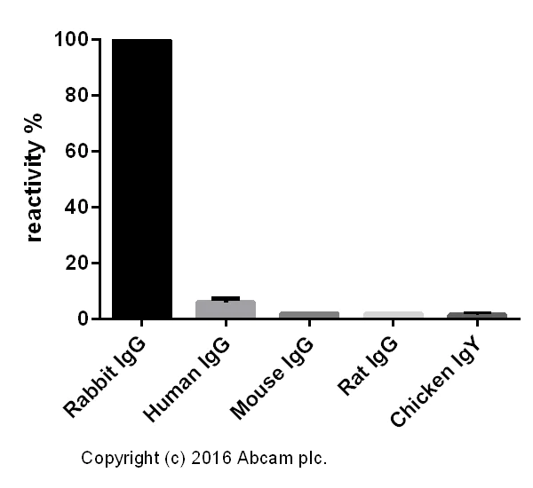ELISA - Goat Anti-Rabbit IgG H&L (AB182016)