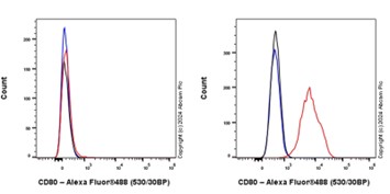 Flow Cytometry - Goat Anti-Rabbit IgG H&L (Alexa Fluor® 488) (ab150077), expandable thumbnail