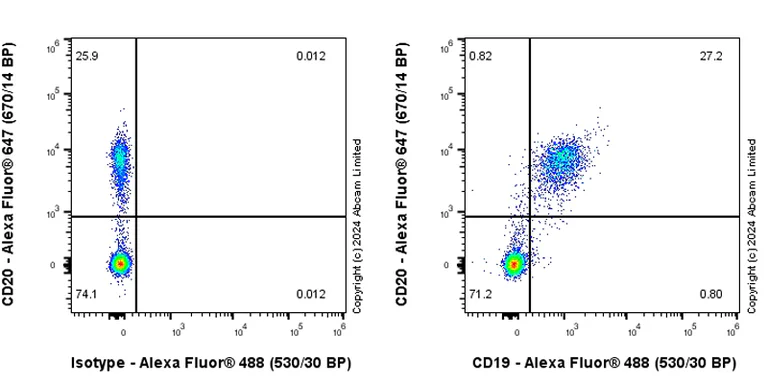 Flow Cytometry - Goat Anti-Rabbit IgG H&L (Alexa Fluor® 488) preadsorbed (AB150081)