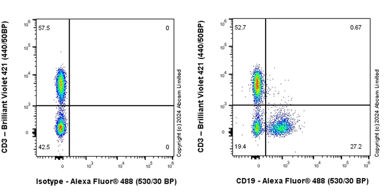 Flow Cytometry - Goat Anti-Rabbit IgG H&L (Alexa Fluor® 488) preadsorbed (AB150081)