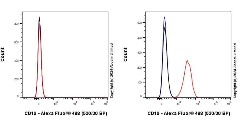 Flow Cytometry - Goat Anti-Rabbit IgG H&L (Alexa Fluor® 488) preadsorbed (AB150081)