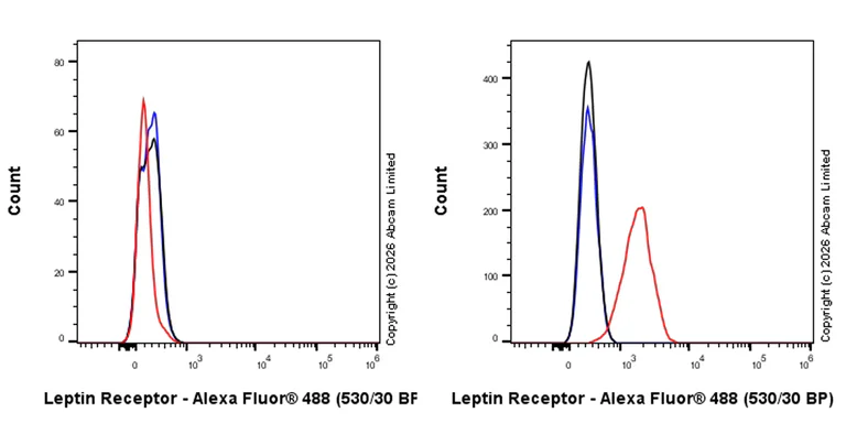 Flow Cytometry - Goat Anti-Rabbit IgG H&L (Alexa Fluor® 488) preadsorbed (AB150081)