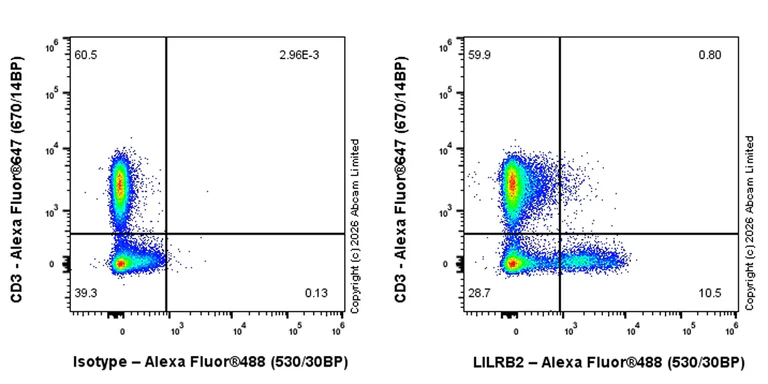 Flow Cytometry - Goat Anti-Rabbit IgG H&L (Alexa Fluor® 488) preadsorbed (AB150081)