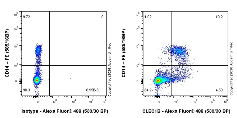 Flow Cytometry - Goat Anti-Rabbit IgG H&L (Alexa Fluor® 488) preadsorbed (AB150081)