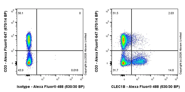 Flow Cytometry - Goat Anti-Rabbit IgG H&L (Alexa Fluor® 488) preadsorbed (AB150081)