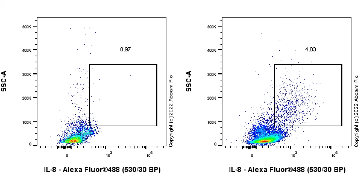 Flow Cytometry (Intracellular) - Goat Anti-Rabbit IgG H&L (Alexa Fluor® 488) preadsorbed (ab150081), expandable thumbnail