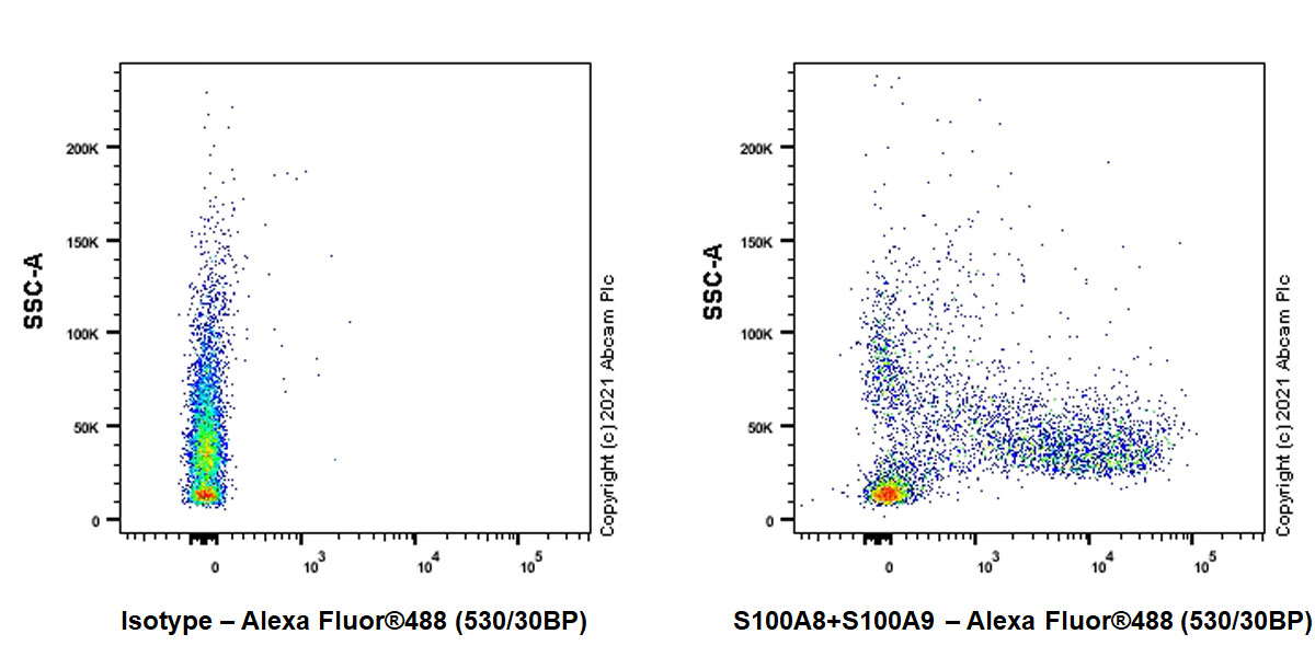 Flow Cytometry (Intracellular) - Goat Anti-Rabbit IgG H&L (Alexa Fluor® 488) preadsorbed (ab150081), expandable thumbnail