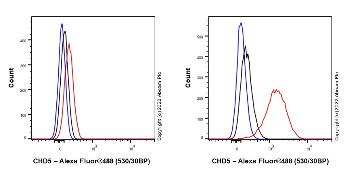 Flow Cytometry (Intracellular) - Goat Anti-Rabbit IgG H&L (Alexa Fluor® 488) preadsorbed (ab150081), expandable thumbnail