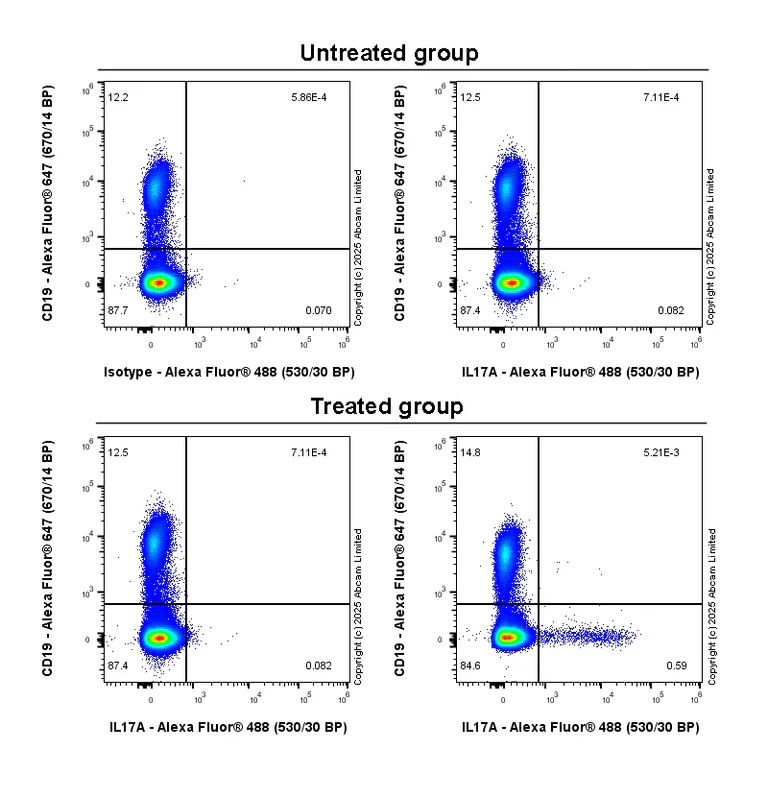 Flow Cytometry (Intracellular) - Goat Anti-Rabbit IgG H&L (Alexa Fluor® 488) preadsorbed (AB150081)
