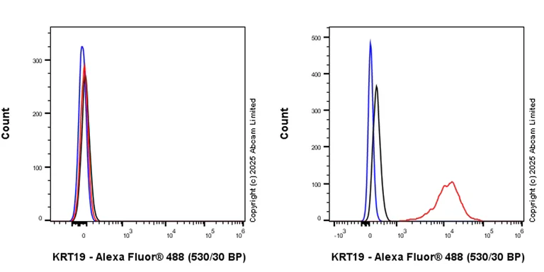 Flow Cytometry (Intracellular) - Goat Anti-Rabbit IgG H&L (Alexa Fluor® 488) preadsorbed (AB150081)