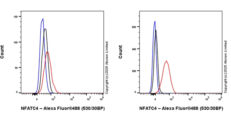 Flow Cytometry (Intracellular) - Goat Anti-Rabbit IgG H&L (Alexa Fluor® 488) preadsorbed (AB150081)