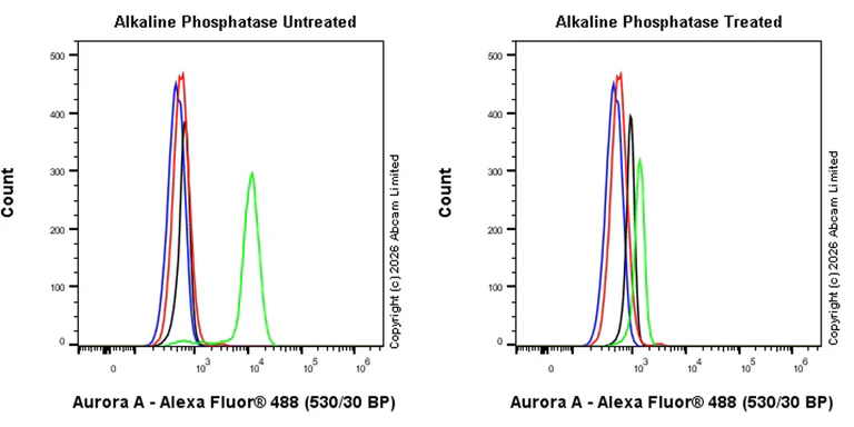 Flow Cytometry (Intracellular) - Goat Anti-Rabbit IgG H&L (Alexa Fluor® 488) preadsorbed (AB150081)