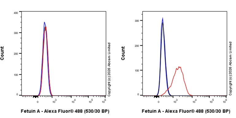 Flow Cytometry (Intracellular) - Goat Anti-Rabbit IgG H&L (Alexa Fluor® 488) preadsorbed (AB150081)