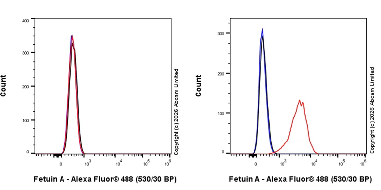 Flow Cytometry (Intracellular) - Goat Anti-Rabbit IgG H&L (Alexa Fluor® 488) preadsorbed (AB150081)
