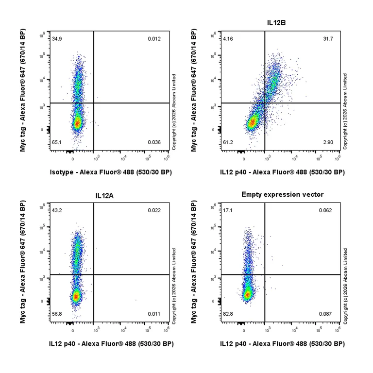 Flow Cytometry (Intracellular) - Goat Anti-Rabbit IgG H&L (Alexa Fluor® 488) preadsorbed (AB150081)