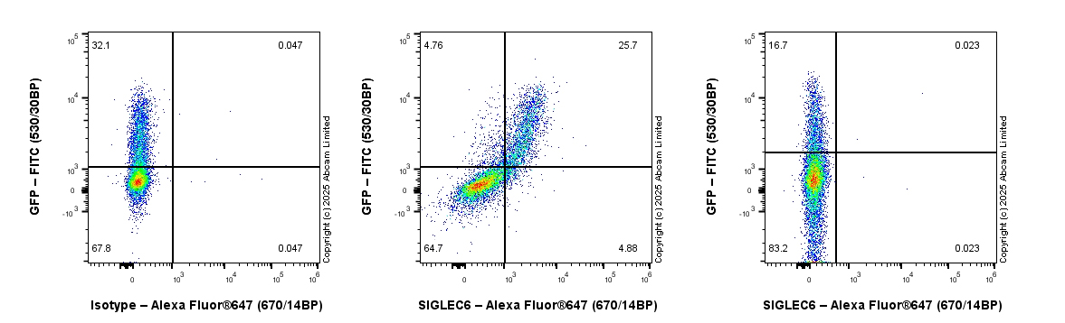 Flow Cytometry - Goat Anti-Rabbit IgG H&L (Alexa Fluor® 647) preadsorbed (ab150083), expandable thumbnail
