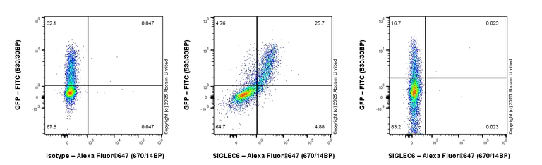 Flow Cytometry - Goat Anti-Rabbit IgG H&L (Alexa Fluor® 647) preadsorbed (AB150083)