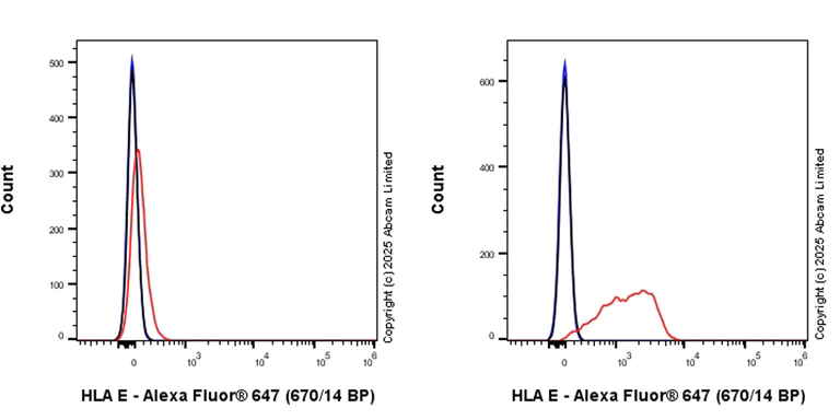 Flow Cytometry - Goat Anti-Rabbit IgG H&L (Alexa Fluor® 647) preadsorbed (AB150083)