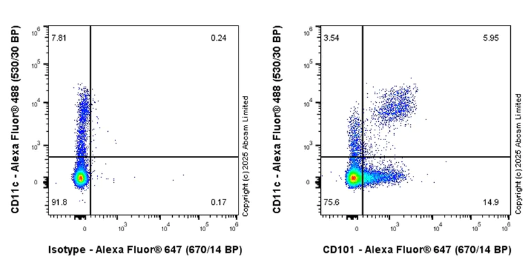Flow Cytometry - Goat Anti-Rabbit IgG H&L (Alexa Fluor® 647) preadsorbed (AB150083)