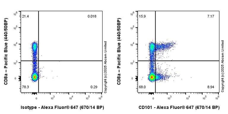 Flow Cytometry - Goat Anti-Rabbit IgG H&L (Alexa Fluor® 647) preadsorbed (AB150083)