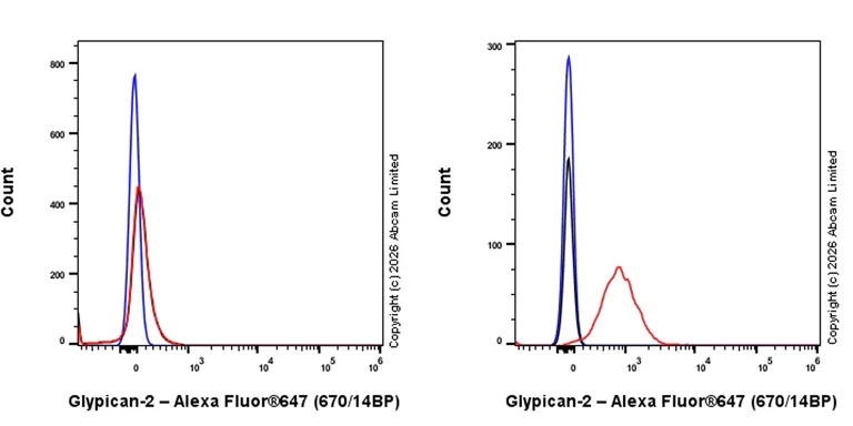 Flow Cytometry - Goat Anti-Rabbit IgG H&L (Alexa Fluor® 647) preadsorbed (AB150083)