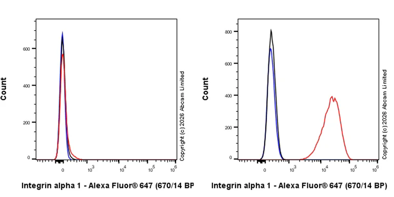 Flow Cytometry - Goat Anti-Rabbit IgG H&L (Alexa Fluor® 647) preadsorbed (AB150083)
