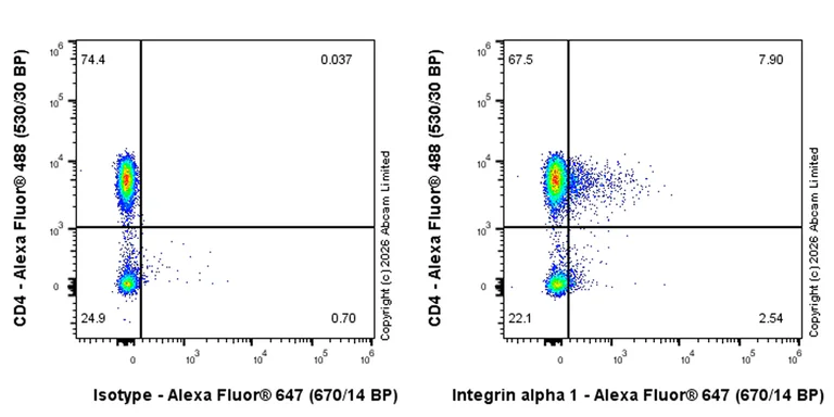 Flow Cytometry - Goat Anti-Rabbit IgG H&L (Alexa Fluor® 647) preadsorbed (AB150083)
