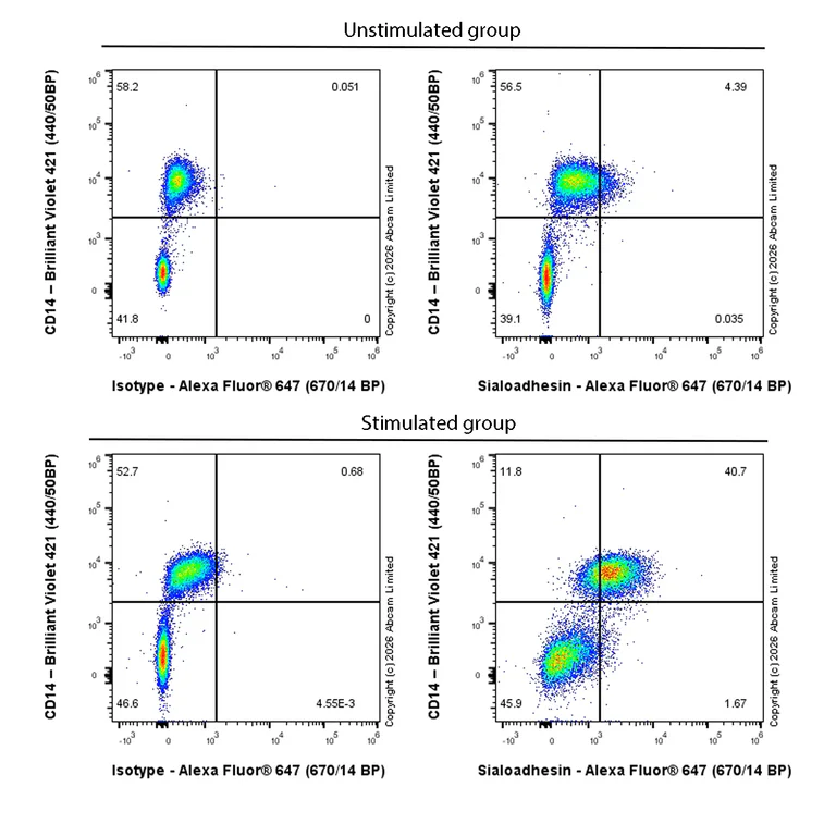 Flow Cytometry - Goat Anti-Rabbit IgG H&L (Alexa Fluor® 647) preadsorbed (AB150083)