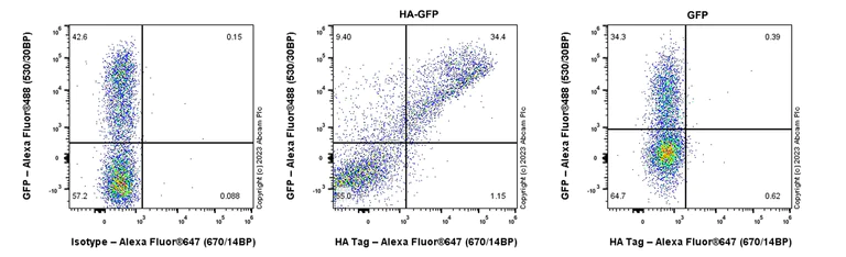 Flow Cytometry (Intracellular) - Goat Anti-Rabbit IgG H&L (Alexa Fluor® 647) preadsorbed (AB150083)