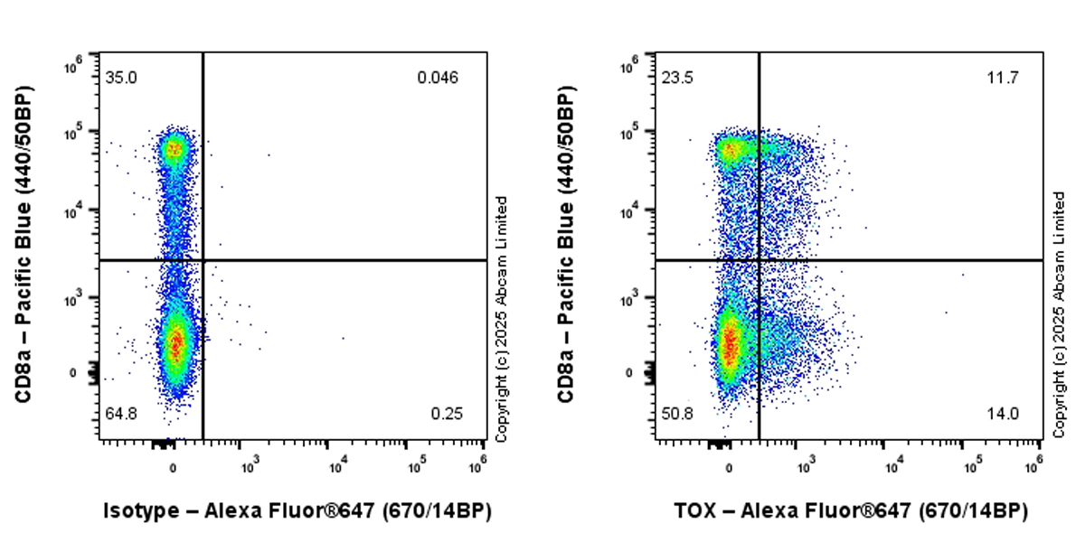 Goat anti-rabbit IgG (Alexa Fluor® 647) preadsorbed