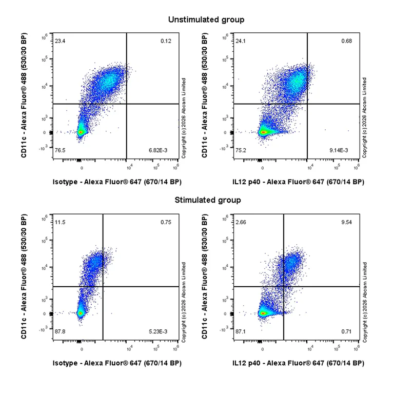 Flow Cytometry (Intracellular) - Goat Anti-Rabbit IgG H&L (Alexa Fluor® 647) preadsorbed (AB150083)