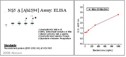 ELISA - Goat Anti-Rabbit IgG H&L (Alkaline Phosphatase) (AB6722), expandable thumbnail