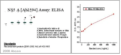 ELISA - Goat Anti-Rabbit IgG H&L (Alkaline Phosphatase) (AB6722)
