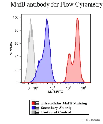 Flow Cytometry - Goat Anti-Rabbit IgG H&L (FITC) (AB6717)