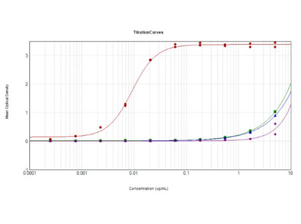 ELISA - Goat Anti-Rabbit IgG H&L (HRP) preadsorbed (ab7090), expandable thumbnail