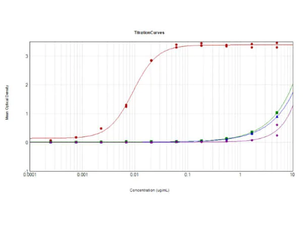 ELISA - Goat Anti-Rabbit IgG H&L (HRP) preadsorbed (AB7090)