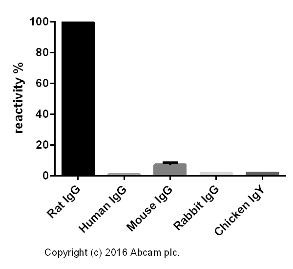 ELISA - Goat Anti-Rat IgG H&L (AB182018)