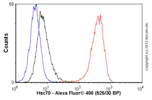 Flow Cytometry - Goat Anti-Rat IgG H&L (Alexa Fluor® 488) preadsorbed (AB150165)