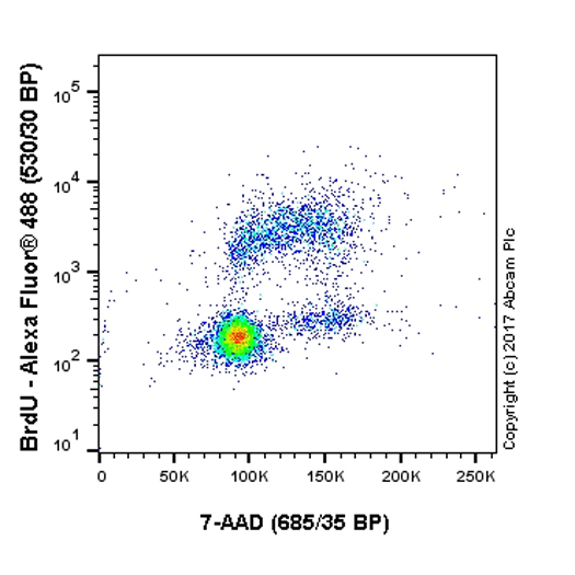 Flow Cytometry (Intracellular) - Goat Anti-Rat IgG H&L (Alexa Fluor® 488) preadsorbed (AB150165), expandable thumbnail