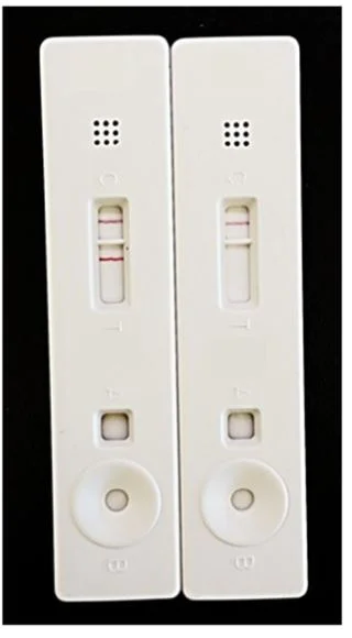 Lateral flow assay - Gold Conjugation Kit (20 nm, 20 OD) (AB188215)
