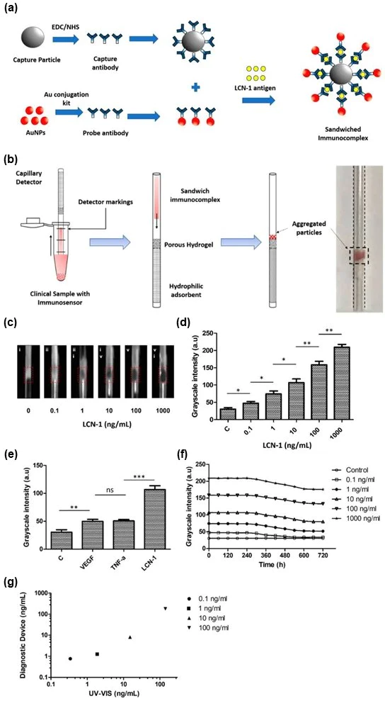 Conjugation - Gold Conjugation Kit (40nm, 20 OD) (AB154873)