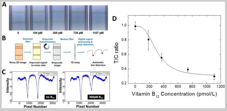 Lateral flow assay - Gold Conjugation Kit (40nm, 20 OD) (AB154873)