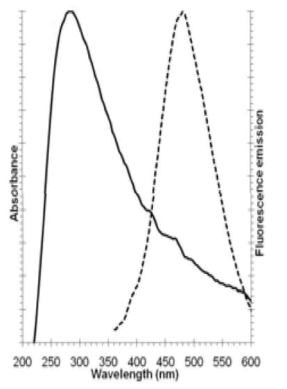 Fluorescence Microscopy - Golgi/ER Staining Kit - Cytopainter (AB139485)