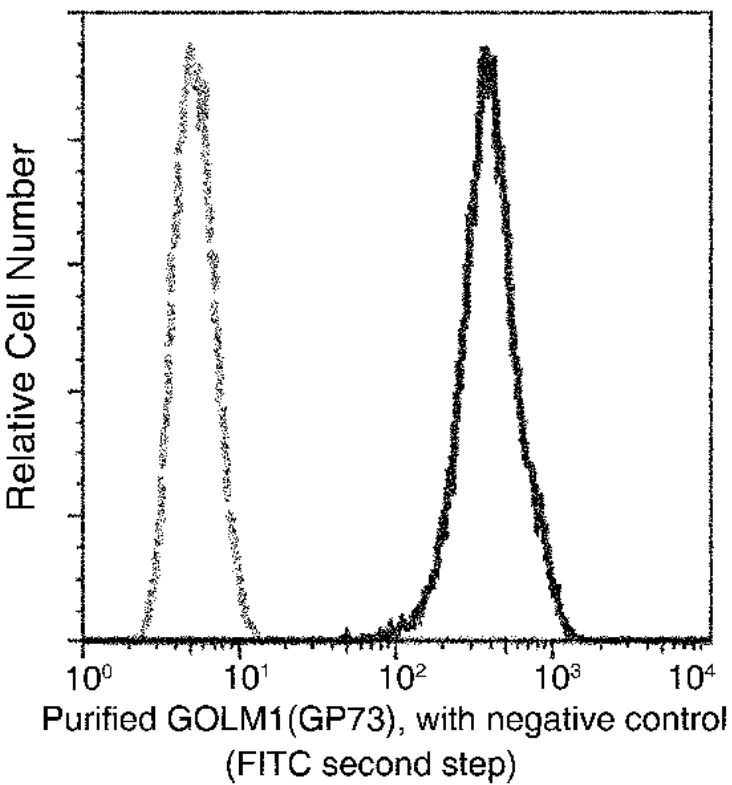Flow Cytometry (Intracellular) - Anti-GOLPH2 antibody [024] - BSA and Azide free (AB277142)