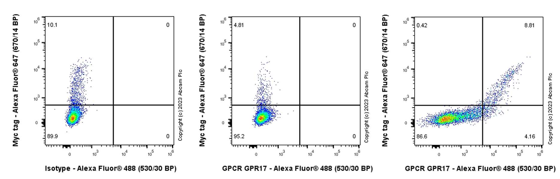 Flow Cytometry (Intracellular) - Anti-GPCR GPR17 antibody [EPR26423-34] (ab316105), expandable thumbnail