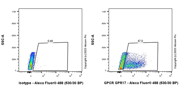 Flow Cytometry (Intracellular) - Anti-GPCR GPR17 antibody [EPR26423-34] - BSA and Azide free (AB316106)
