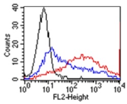 Flow Cytometry - Anti-GPCR GPR48/LGR4 antibody [BBX-3A8] (AB166659)