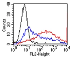 Flow Cytometry - Anti-GPCR GPR48/LGR4 antibody [BBX-3A8] (AB166659)