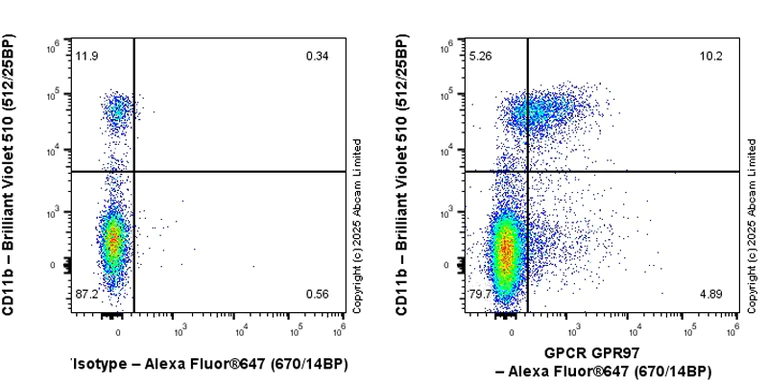 Flow Cytometry - Anti-GPCR GPR97 antibody [RM2090] (AB325346)