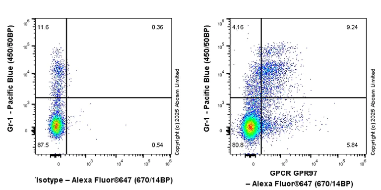 Flow Cytometry - Anti-GPCR GPR97 antibody [RM2090] (AB325346)